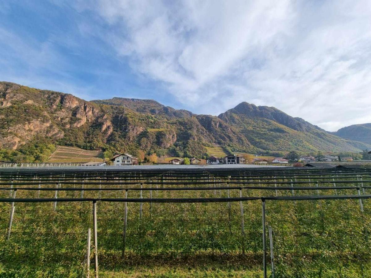 Pitla Cuna Un EcoRelais incantevole nei frutteti dellAlto Adige Terlano Esterno foto