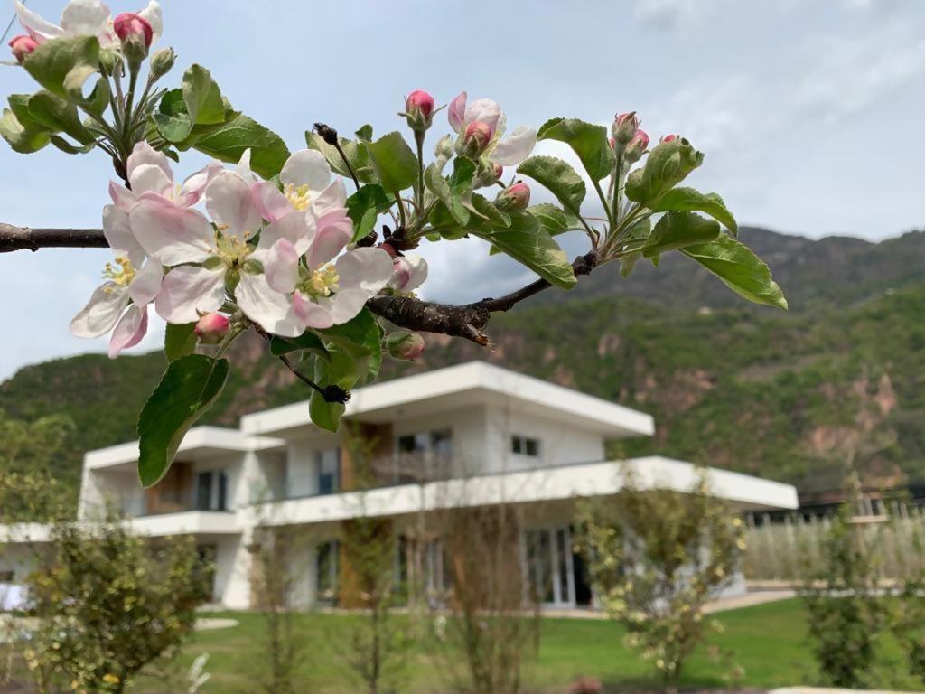 Pitla Cuna Un EcoRelais incantevole nei frutteti dellAlto Adige Terlano Esterno foto